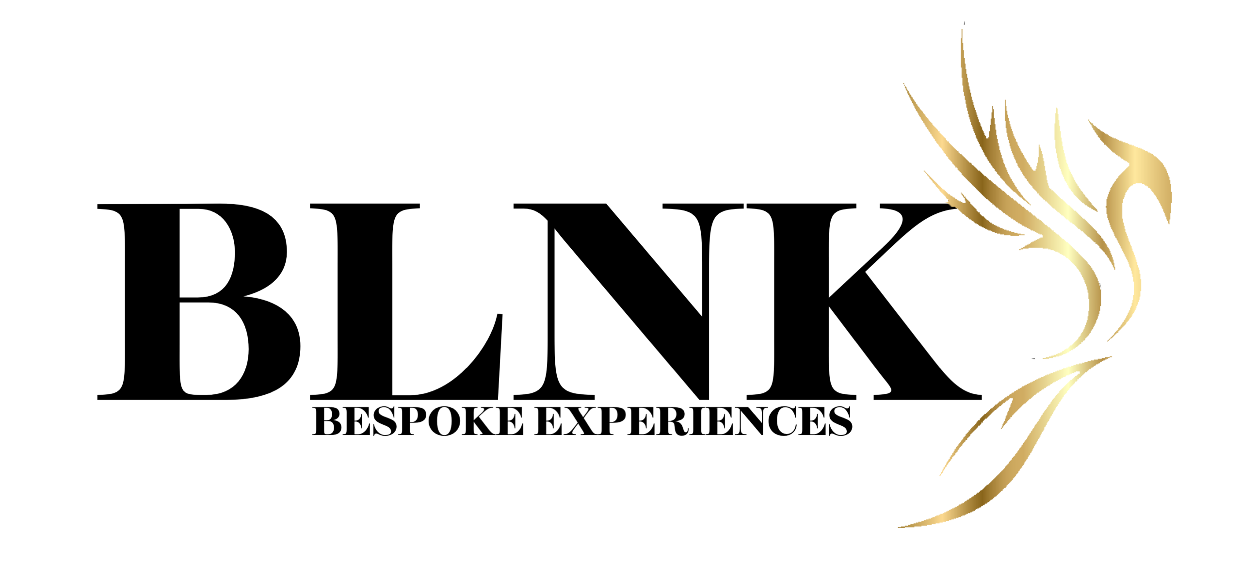 Blnk logo