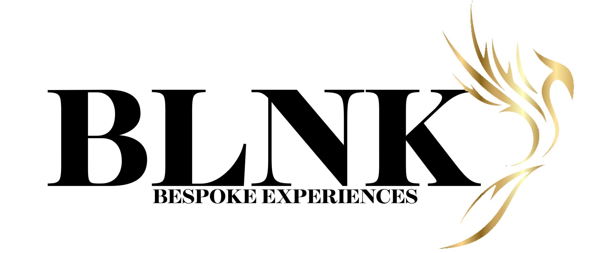 Blnk experiences logo